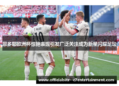 恩多耶欧洲杯惊艳表现引发广泛关注成为新星闪耀足坛