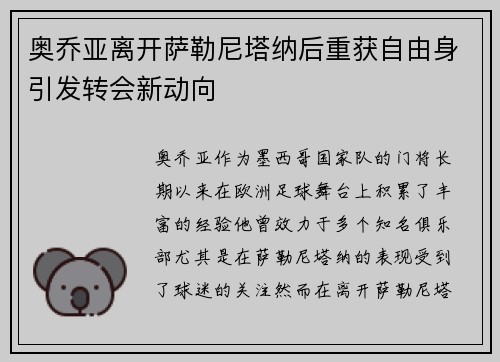 奥乔亚离开萨勒尼塔纳后重获自由身引发转会新动向